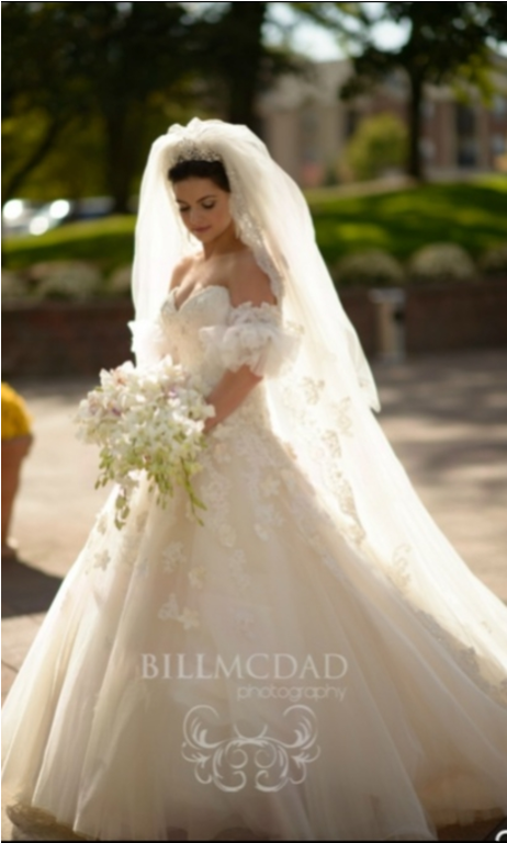 David Tutera Wedding Dresses - Wedding Dress (1024x768), Png Download