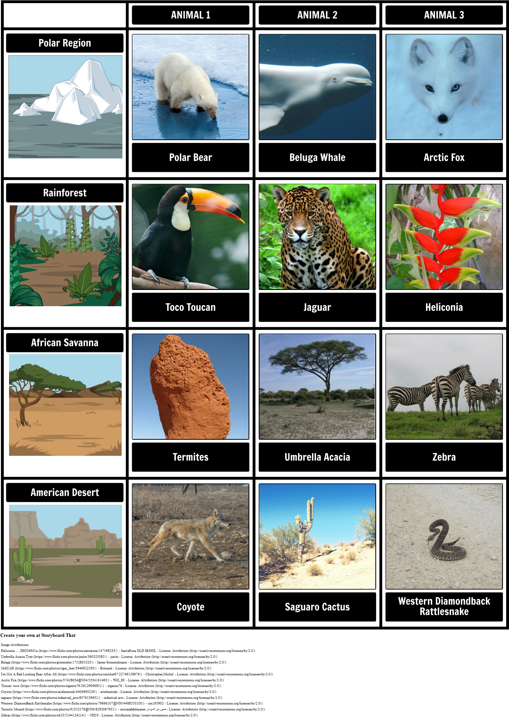 Animal Cell Png (1647x2318), Png Download