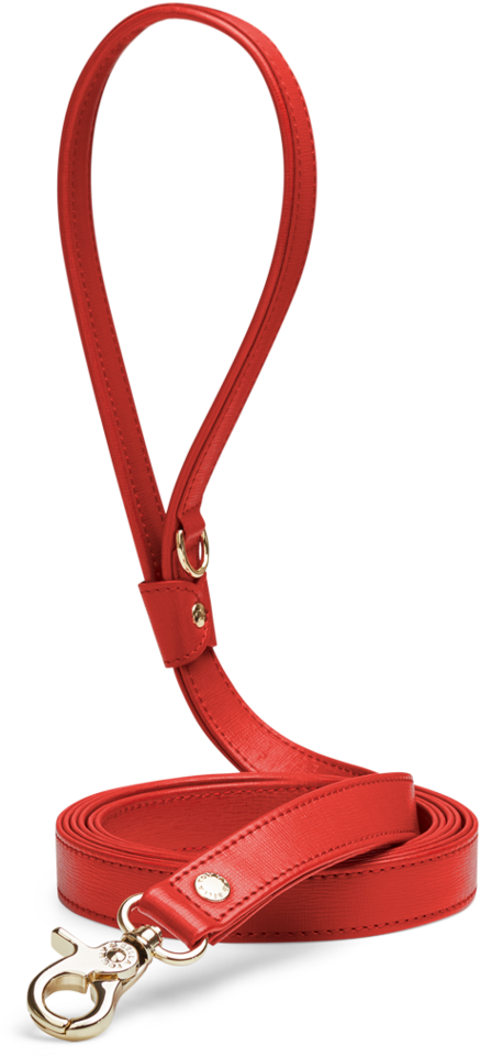 Next - Leash (1024x1024), Png Download