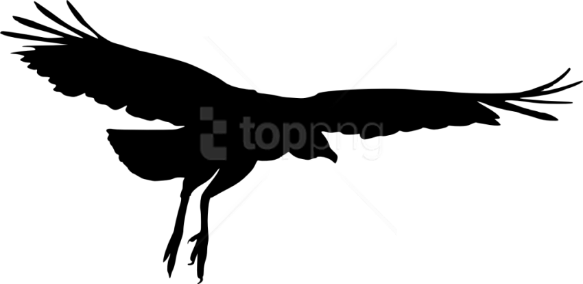 Free Png Bird Silhouette Png - Bird Silhouette Png (850x414), Png Download