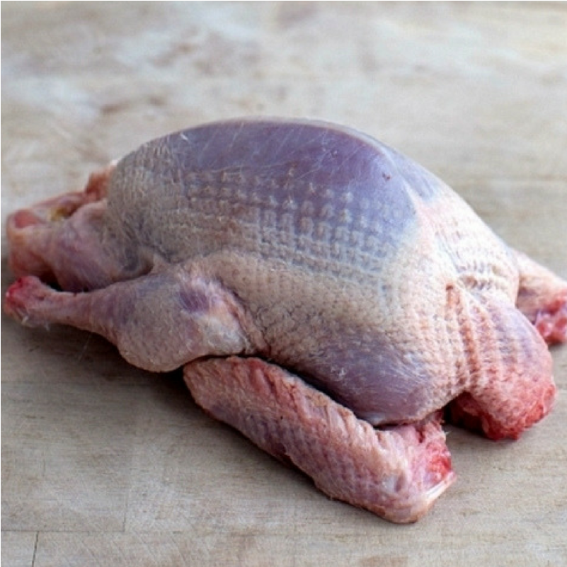 Squab Pigeon Whole 320-380g, France - Guinea Hen Meat Color (800x1000), Png Download