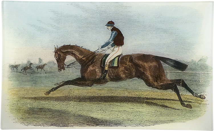 Stallion (800x800), Png Download