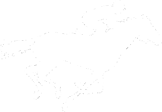Racing - Thoroughbred Horses Silhouette (730x584), Png Download