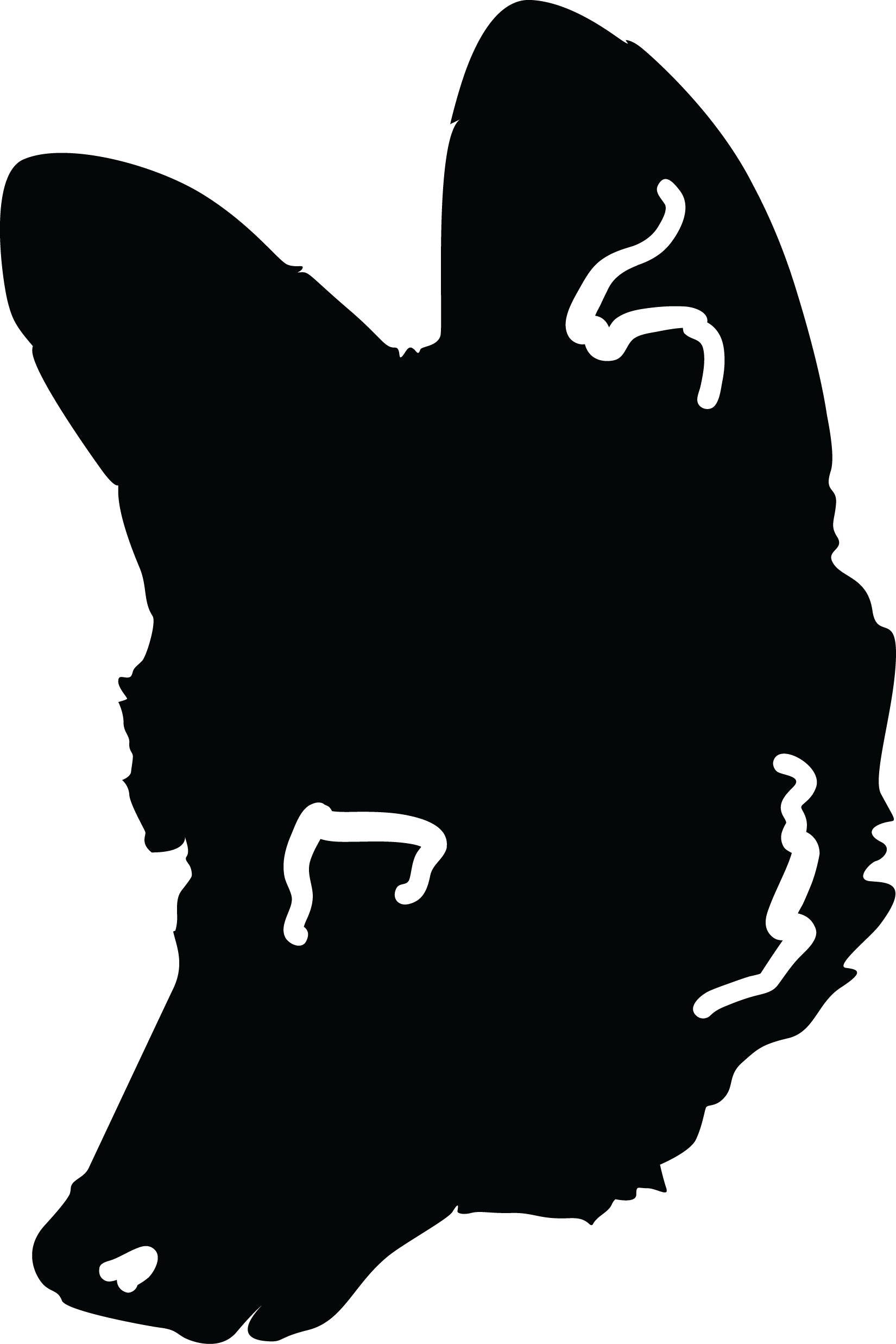 Mericania Moon - Illustration (1650x2474), Png Download