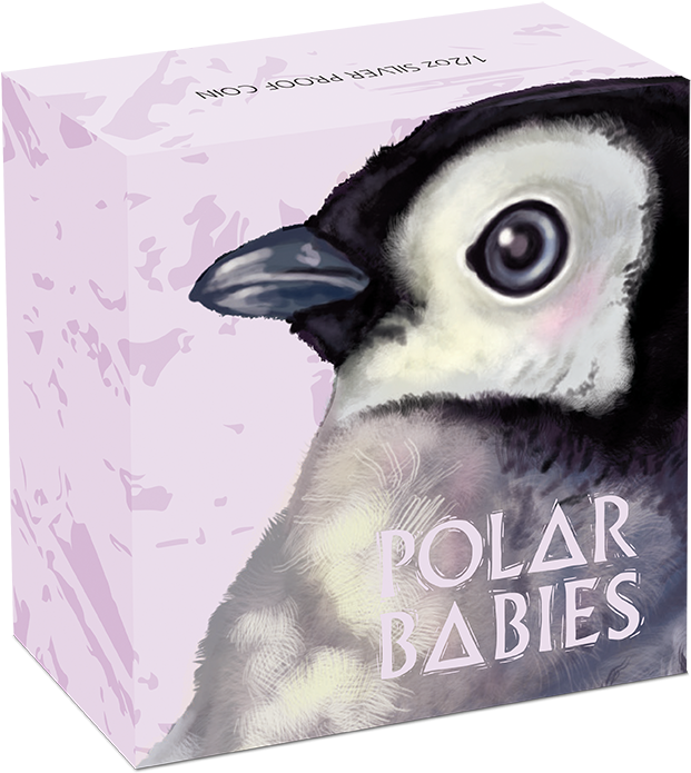 1390 Грн - Leuconotopicus (743x758), Png Download