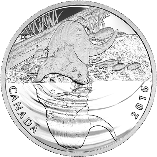 Pure Silver Coin Reflections Of Wildlife - Silver (570x570), Png Download