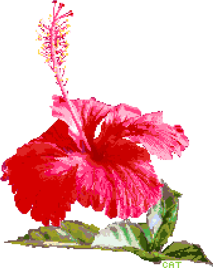 Pixilart By Catsorfries Transparent Background - Transparent Hibiscus (800x1200), Png Download