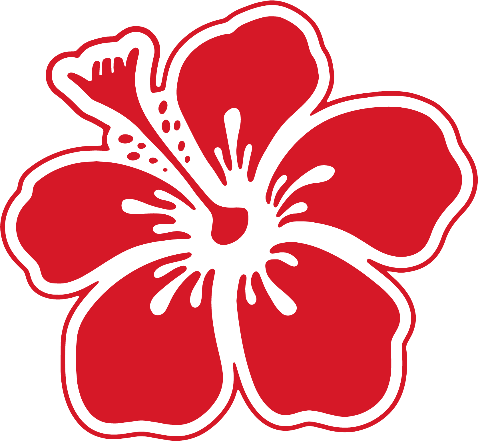 Hibiscus Surf School - Mount Maunganui Surf School (1696x1573), Png Download