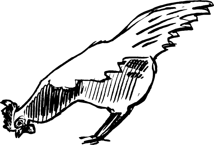 700 X 474 1 - Illustration (700x474), Png Download