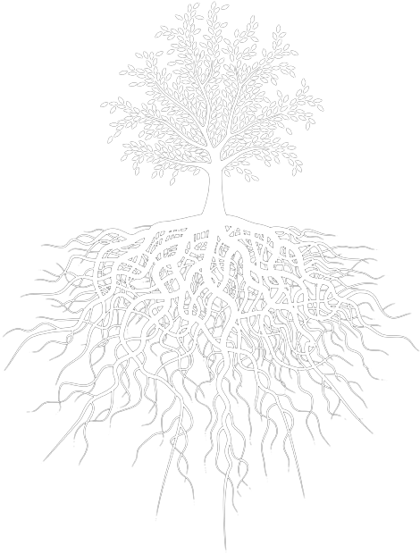 Download “your Business Needs Roots To Grow” - Transparent Tree With
