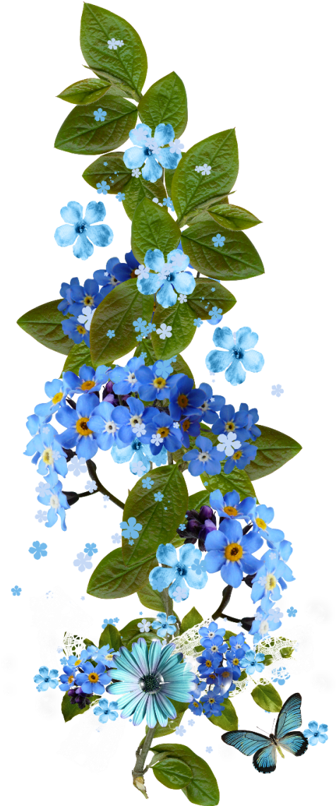 B *✿* Flower Spray, Flower Frame, Flower Paintings, - Não Esqueças De Mim: 15 Sementes (500x1158), Png Download