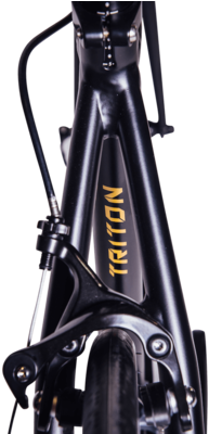 Triton - Gold Dust - Poseidon Triton Road Bike (599x399), Png Download