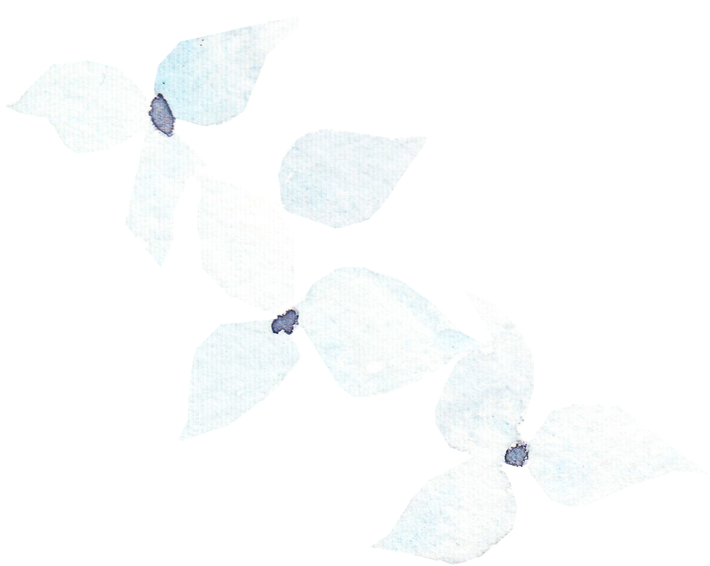 Fantasy Flower Transparent Decorative - Sketch (1024x817), Png Download