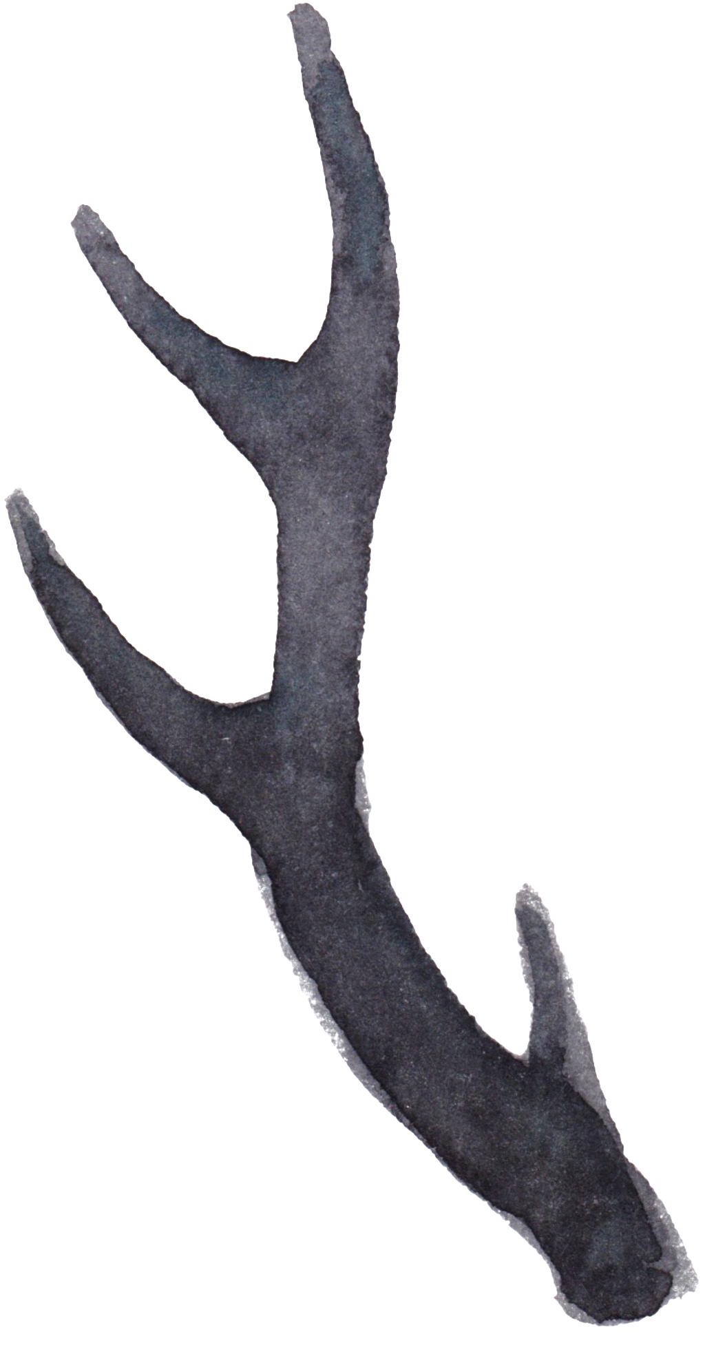 Transparent For The Water Color Of The Elk's Tentacle - Deer (1024x1970), Png Download