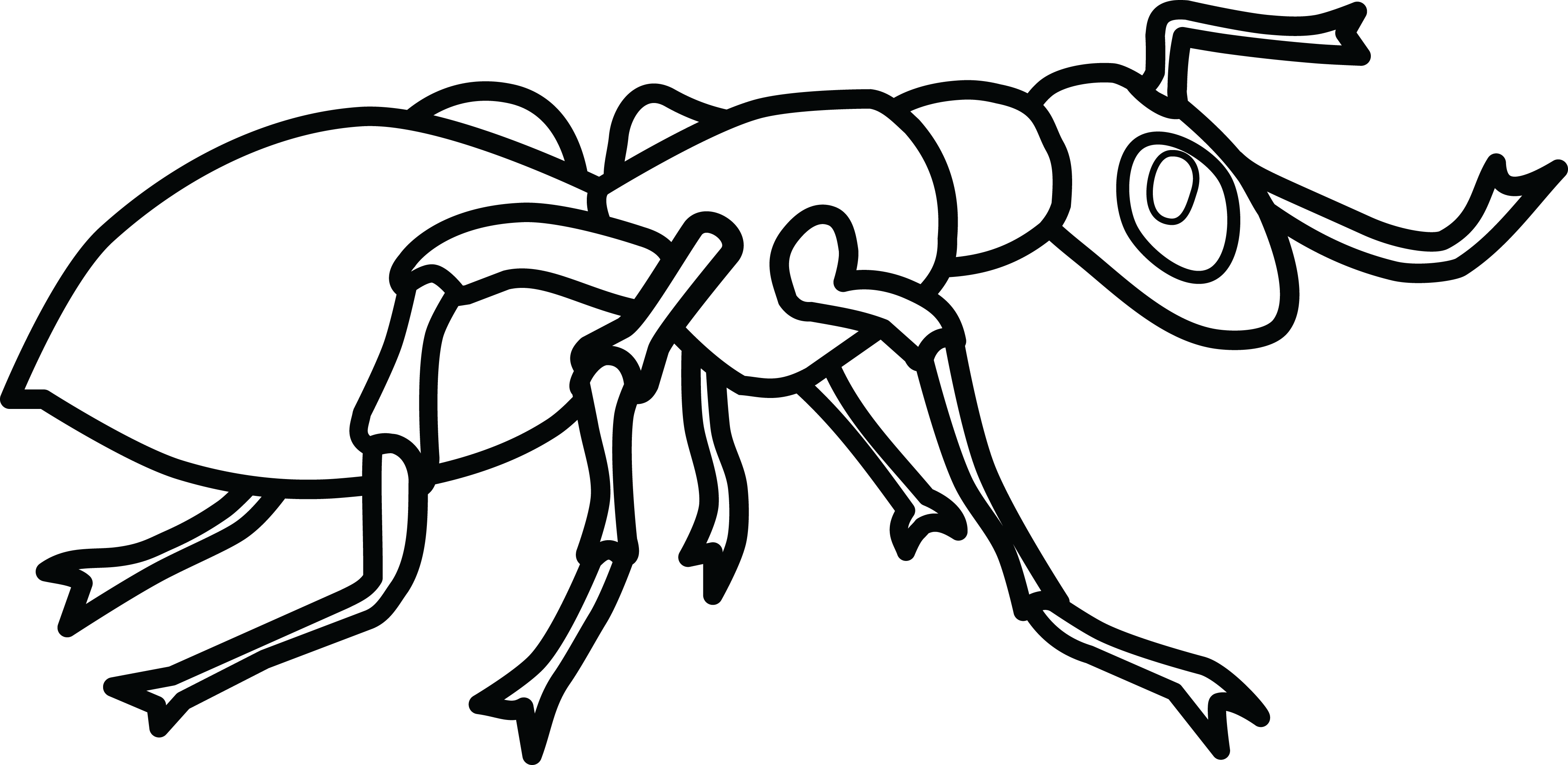 Free Png Clipart Ant Black And White Clipart Library - Ant Clip Art (4000x1953), Png Download
