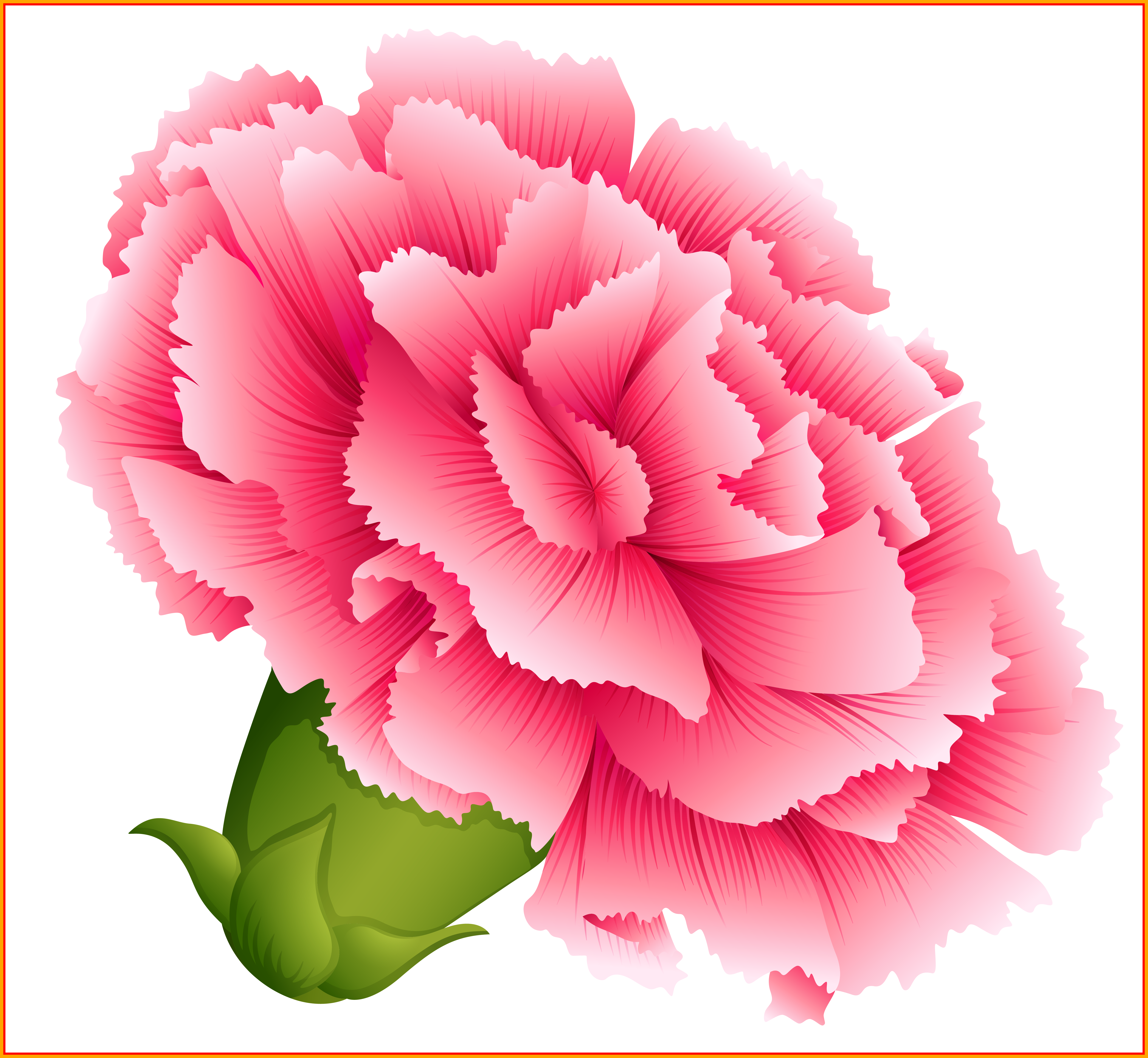Shocking Best Carnation For Flower Clipart Inspiration - Carnation Clipart (5332x4912), Png Download
