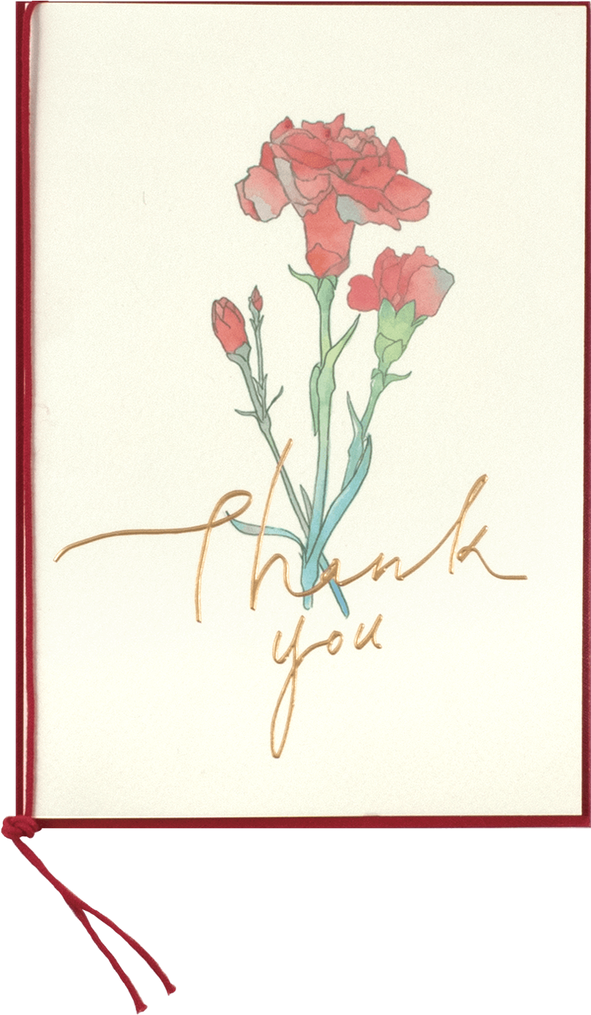 Watercolor Carnation - Garden Roses (1600x1460), Png Download