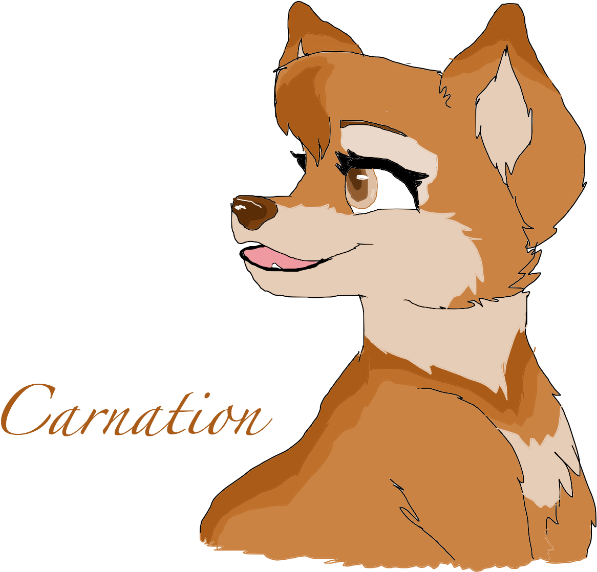 Carnation - Greater Rochester Health Foundation (1600x1200), Png Download