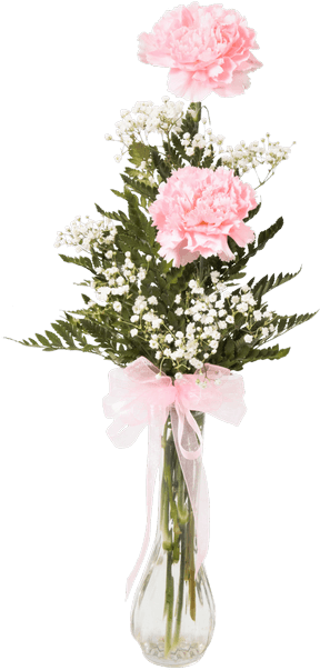 Double Carnation Bud Vase • - Carnation In Bud Vase (500x611), Png Download