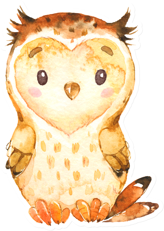 Sticker That Kick Ass Watercolor Owl - Watercolor Painting (800x800), Png Download