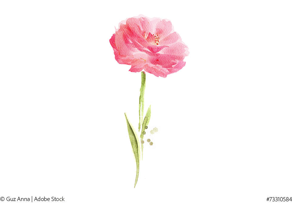 Flower - Watercolor Painting (1024x683), Png Download