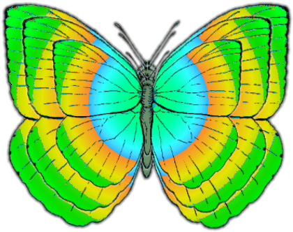 Butterfly (480x480), Png Download