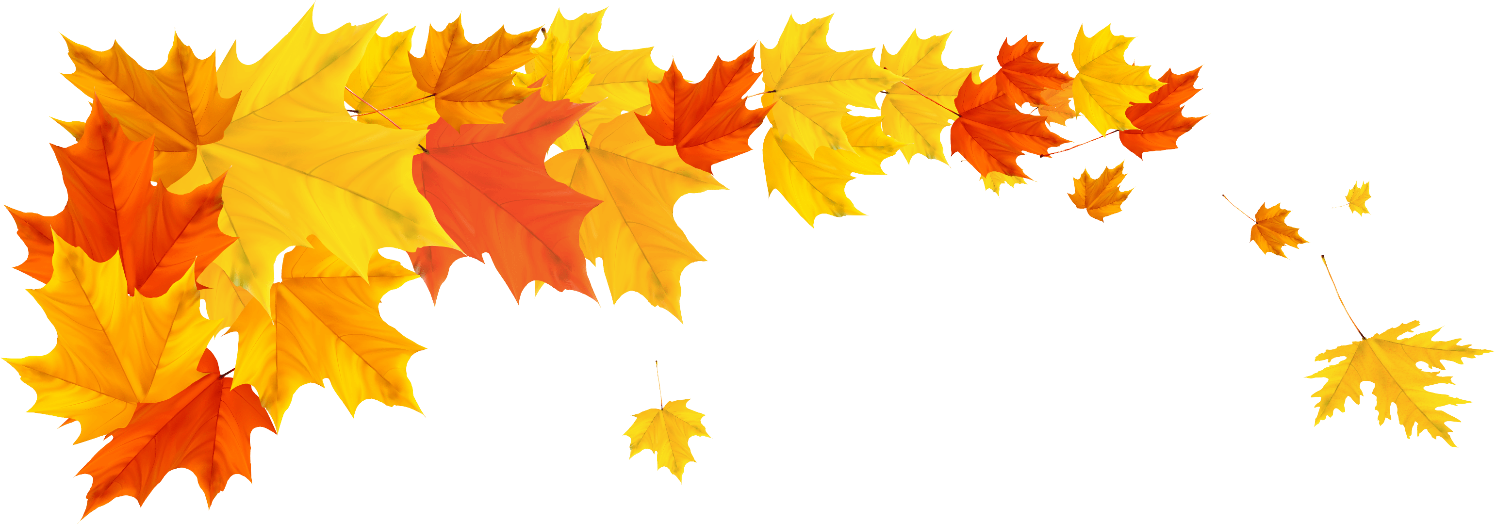 Autumn Leaves Border Png (3245x1449), Png Download
