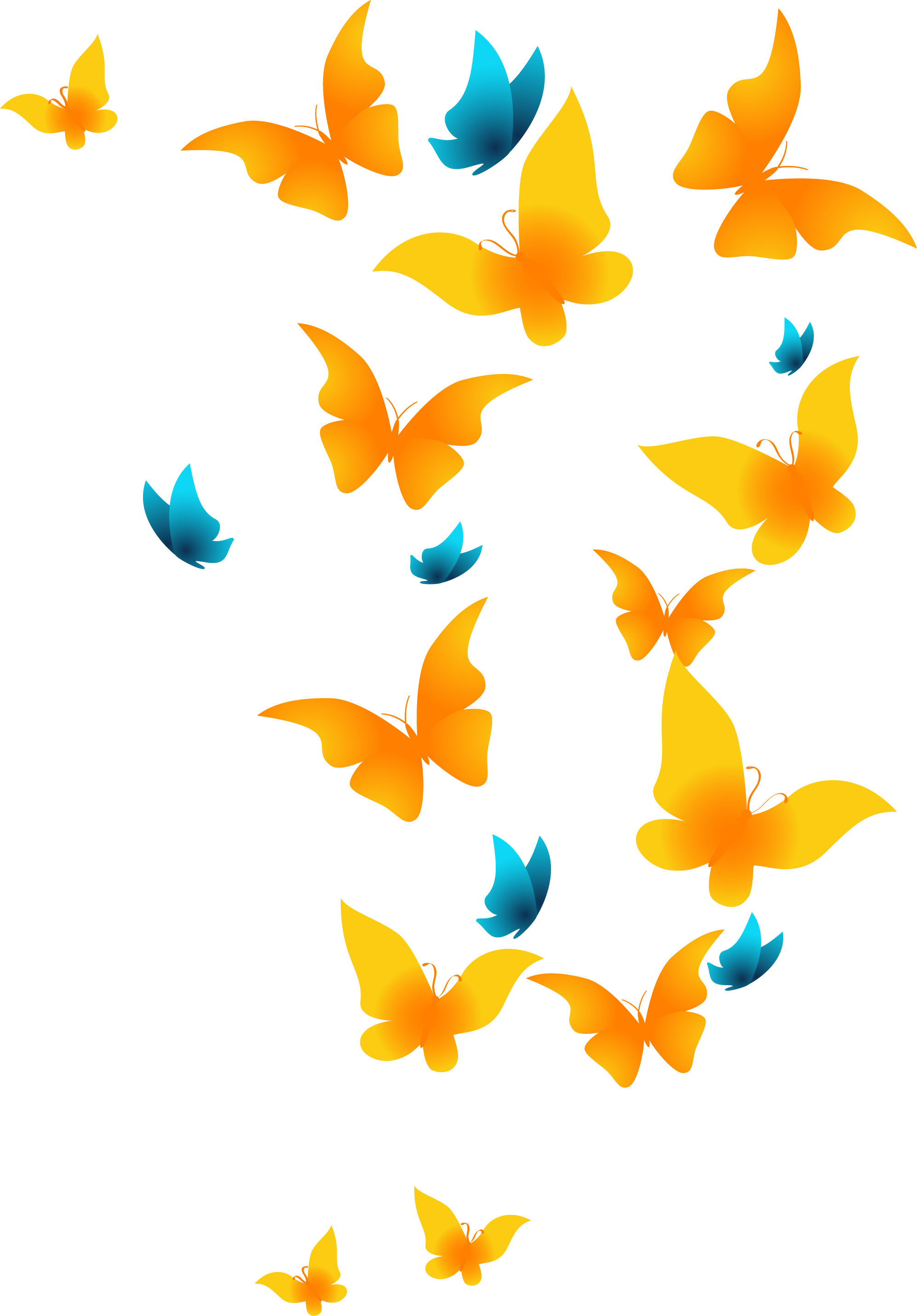 Sticker 112859889 9 Sticker 112859889 10 Sticker 112859889 - Butterfly Vector (1994x2860), Png Download