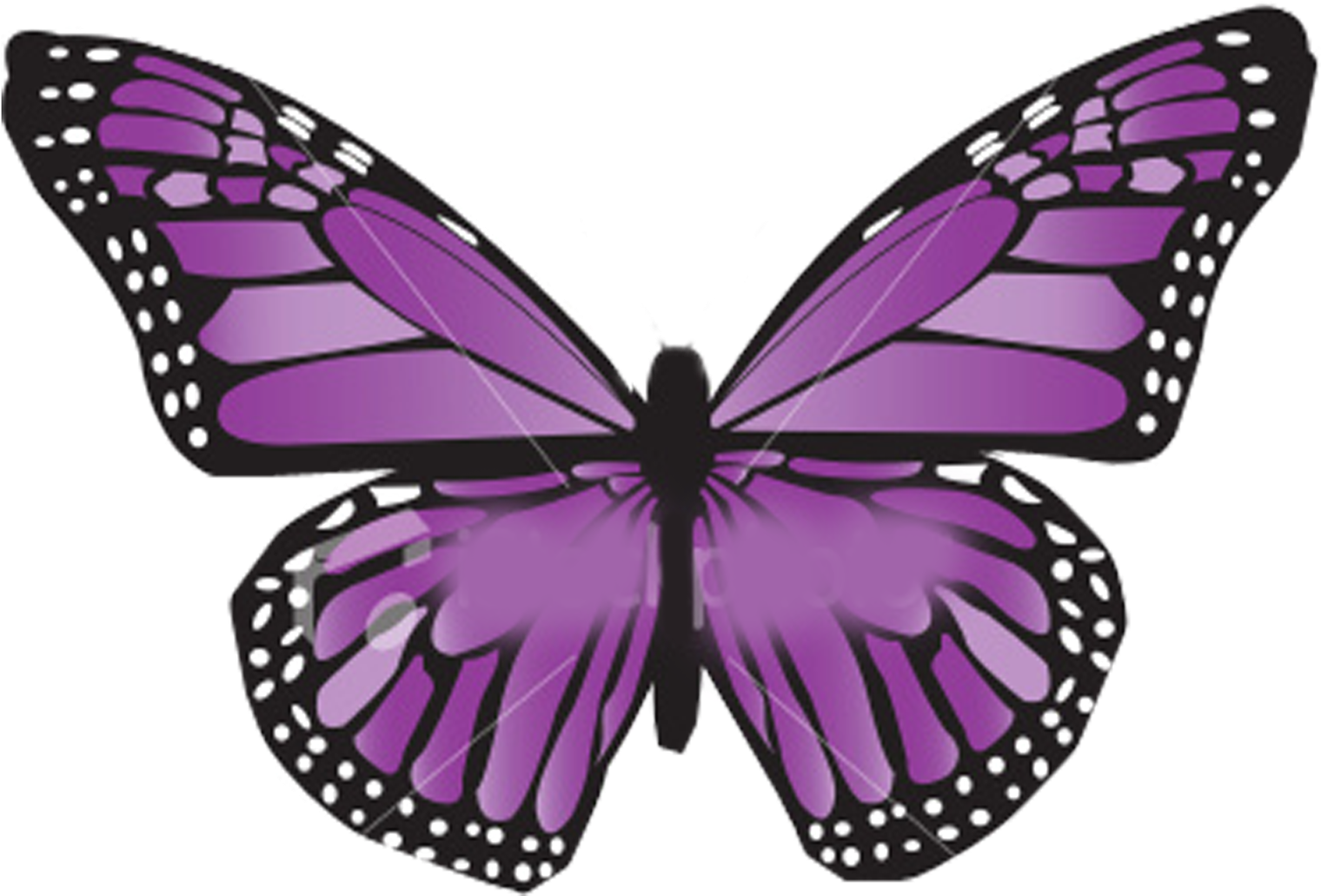 1- Para Empezar Necesitamos Alas De Mariposas Y Una - Thyroid Cancer Survivor Butterfly (1600x1600), Png Download