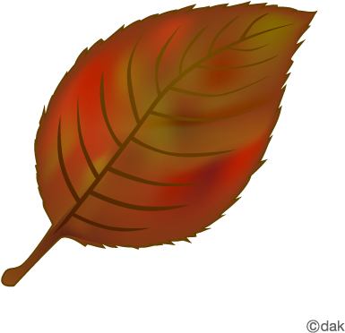 Foliage Clipart Red Leaf - Falling Tree Leaves Clipart (480x480), Png Download
