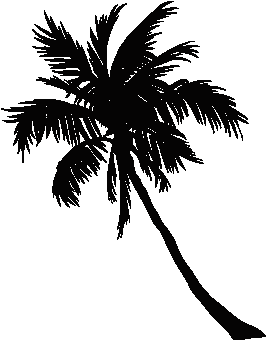 Go To Image - Coconut (600x600), Png Download