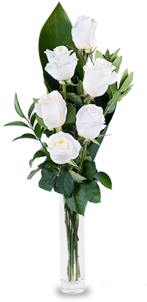Destellos De Luz - Mothers Day Flowers 2018 (480x480), Png Download