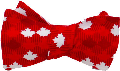 Clip Transparent Download Bow Ties Gifts For Men Shop - Canadian Flag Tie Transparent (500x500), Png Download