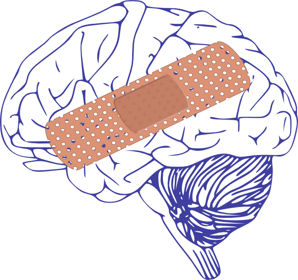 Brain Big Bandaid Clip Art - Brain Clip Art (600x564), Png Download