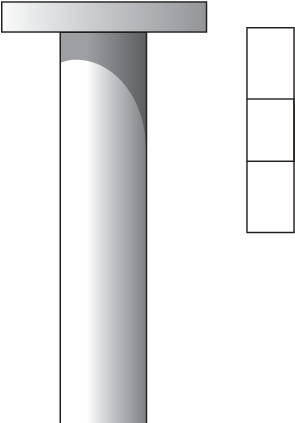 Nail Finish Head - Nail (501x521), Png Download