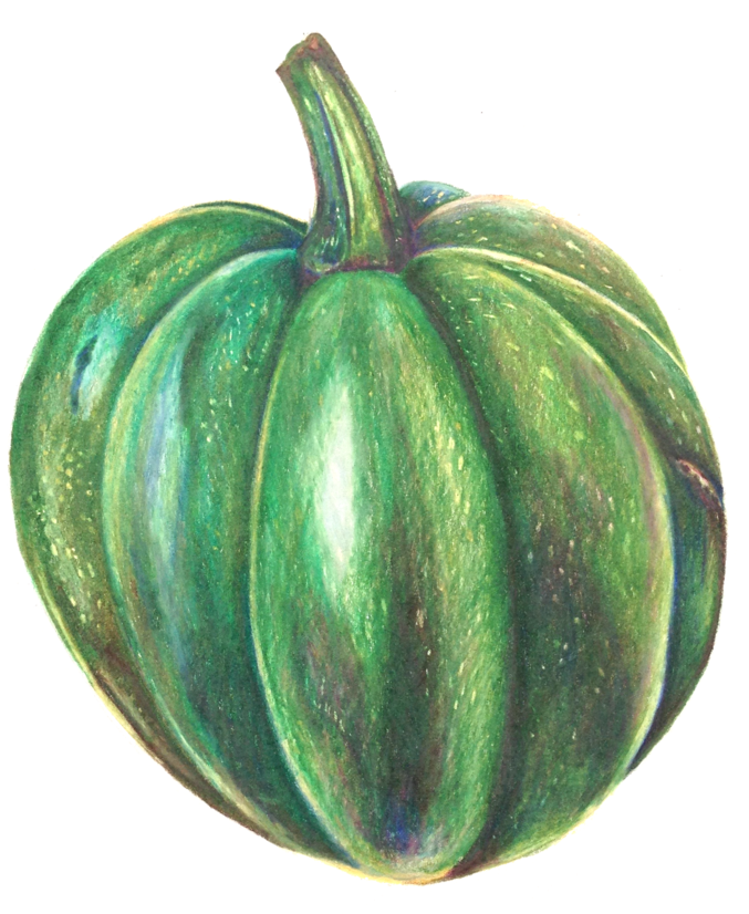 Gemsquash - Pumpkin (1000x1000), Png Download