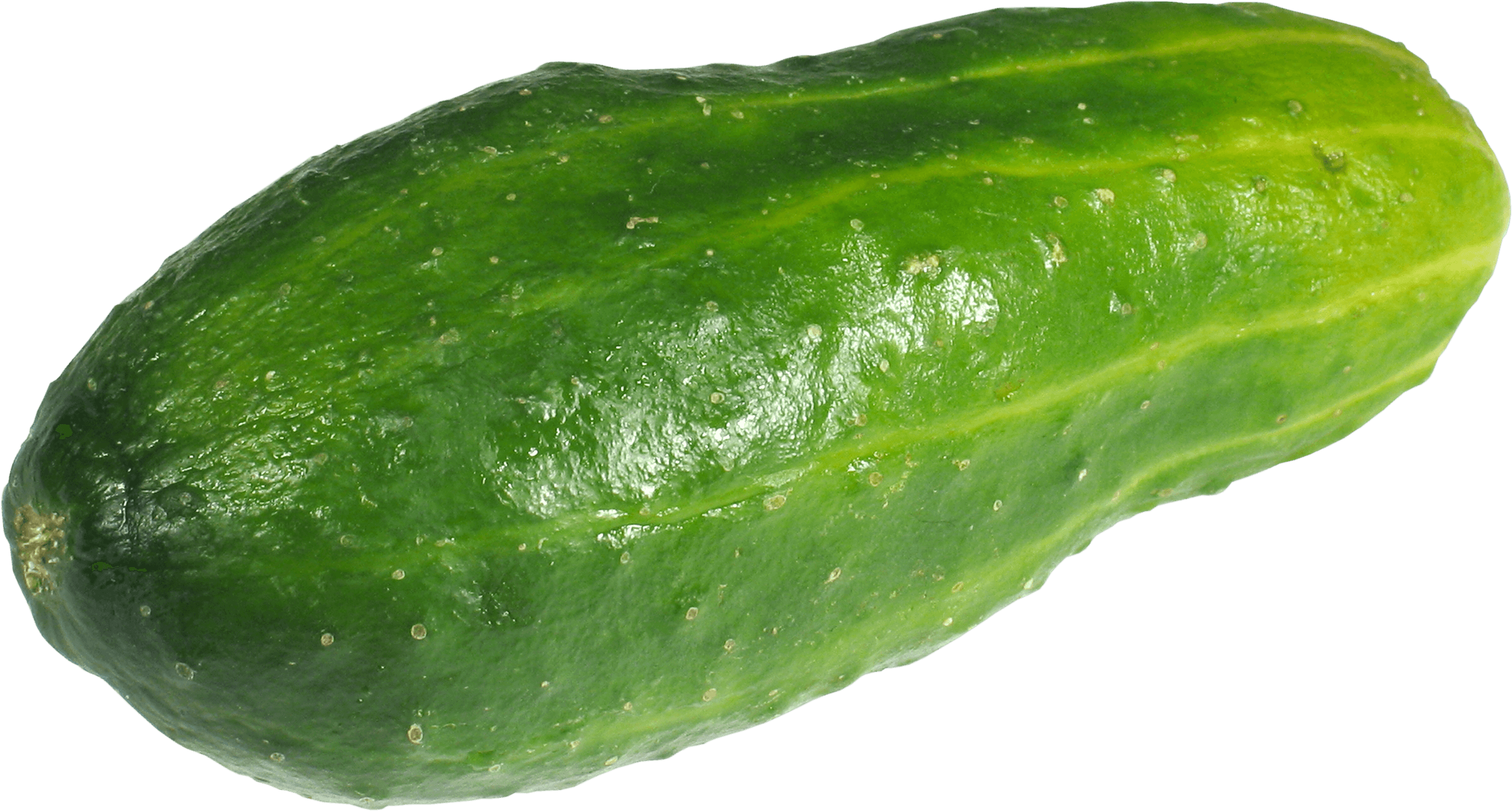 Large Green Cucumber - Bitter Gourd Clipart Png (400x400), Png Download