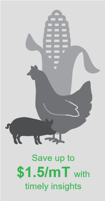 Privacy - Coupon (494x696), Png Download
