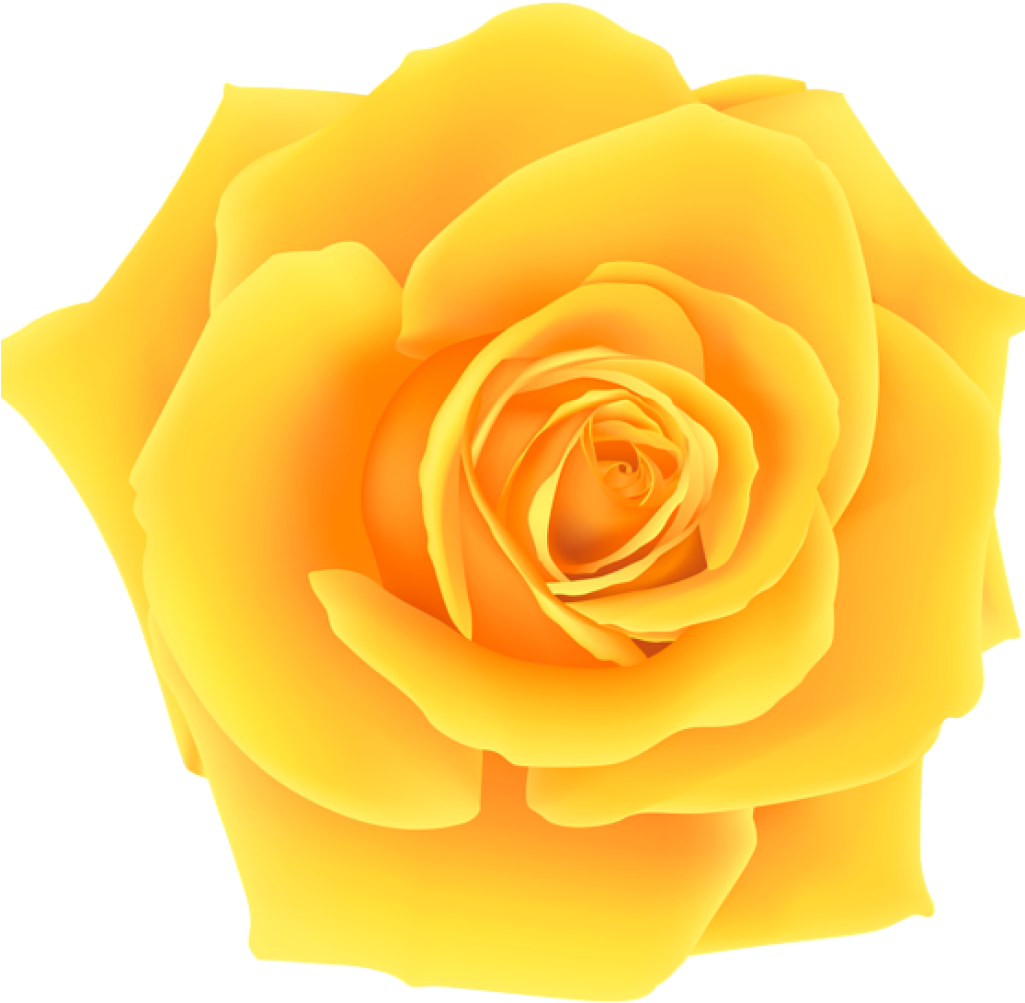 Yellow Roses Clip Art Yellow Roses Clip Art Yellow - Clip Art (1024x1024), Png Download