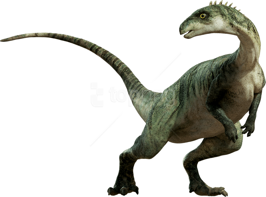 Free Png Download Dinosaur Standing Png Images Background - Dinosaur Png (850x631), Png Download
