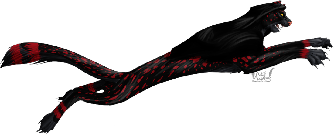 Careless, Impatient, Tracker, Rude, Angry - Tights (1100x445), Png Download