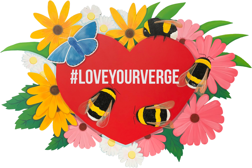 Download Our Love Your Verge Resources And Carry On - Sunflower (1080x746), Png Download