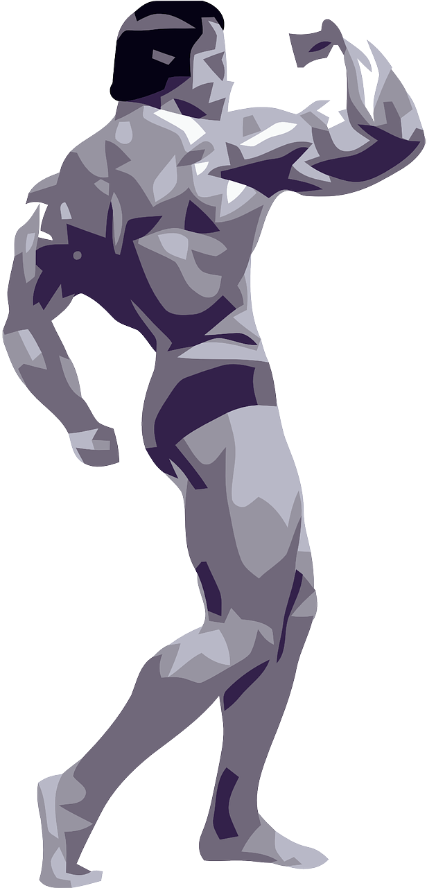 Arnold Schwarzenegger Clipart Transparent - Body Builder Cartoon Png (640x1280), Png Download