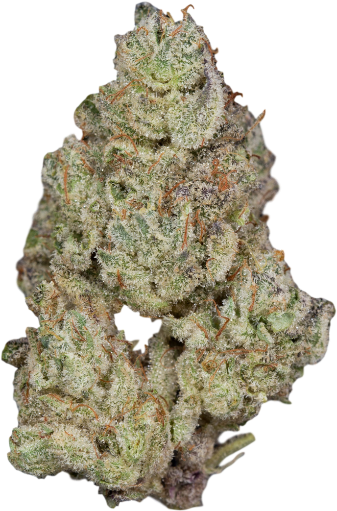 Animal Mints - Yellow Fir (1200x1200), Png Download