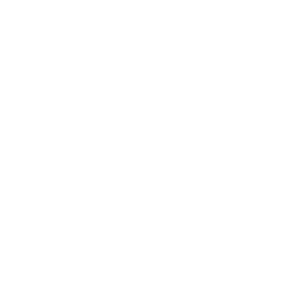 Icons White-12 - Twitter White Bird Logo (1000x982), Png Download