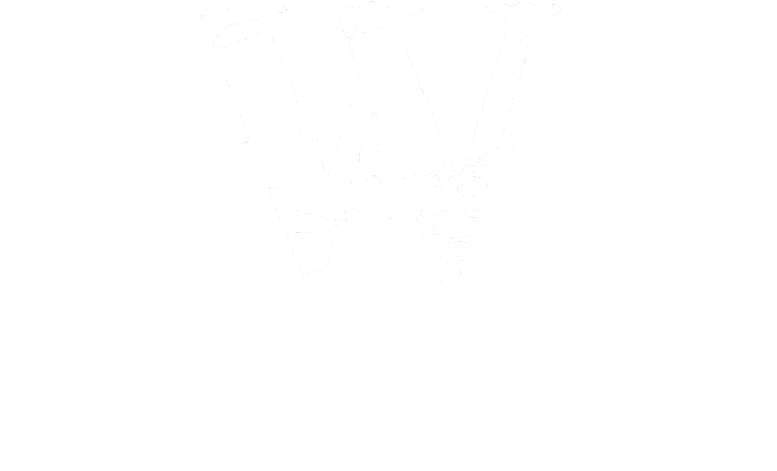 Poster (795x502), Png Download