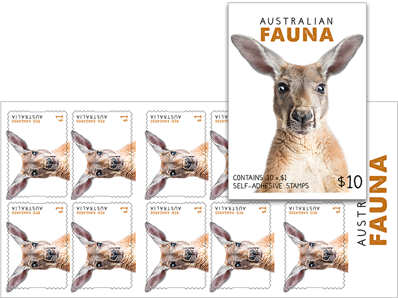 Shop (800x600), Png Download