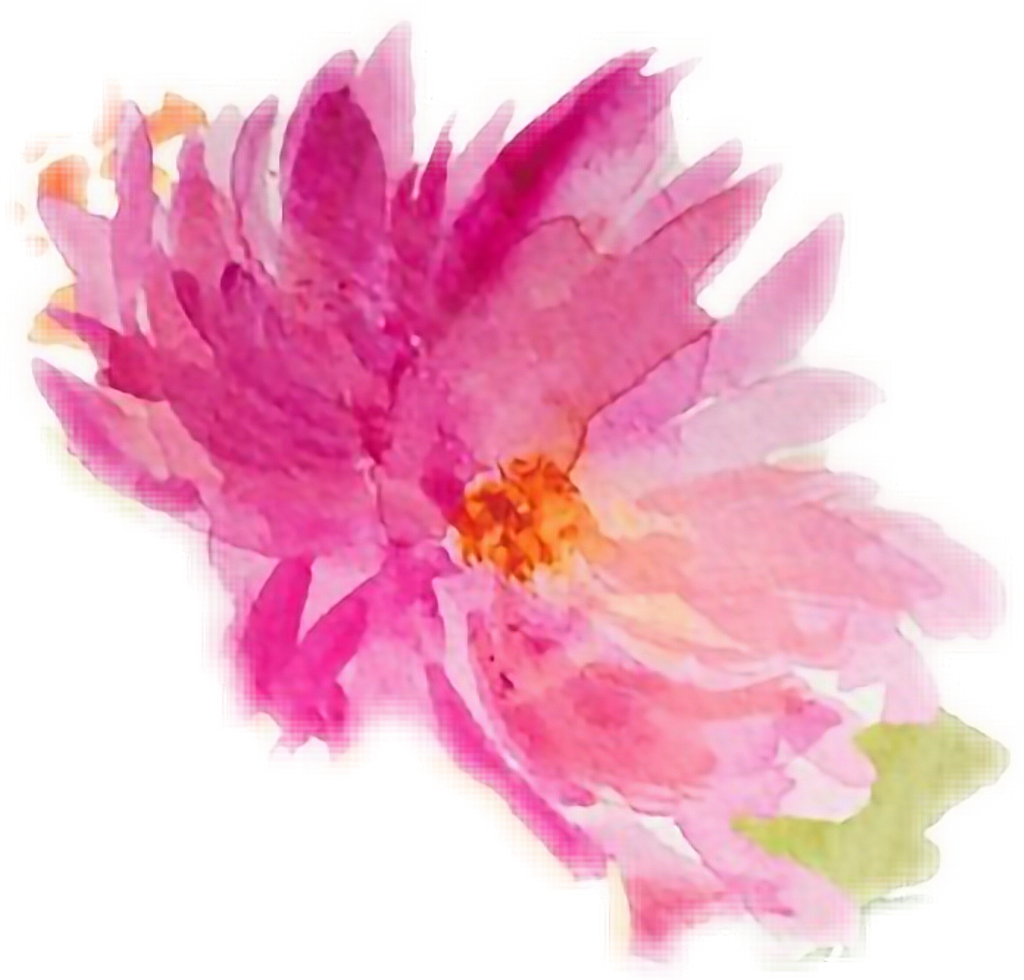 #watercolor #watercolours #flowers - Chinese Peony (1024x980), Png Download