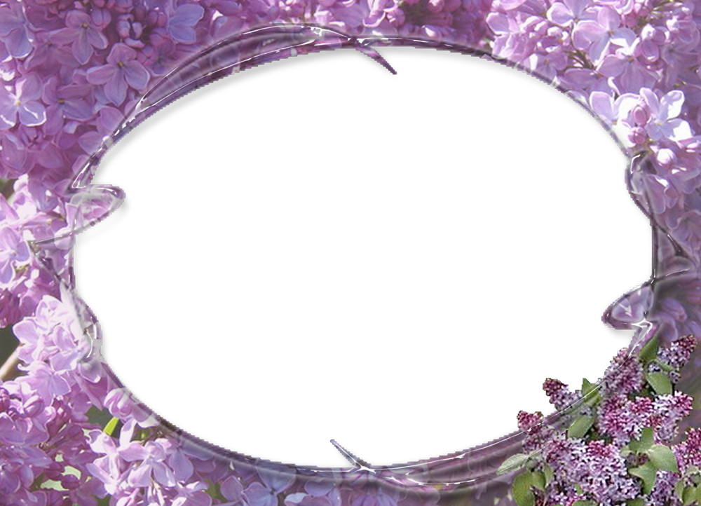 Marcos De Fotos Para Mujeres Bellos - Wisteria (1000x722), Png Download