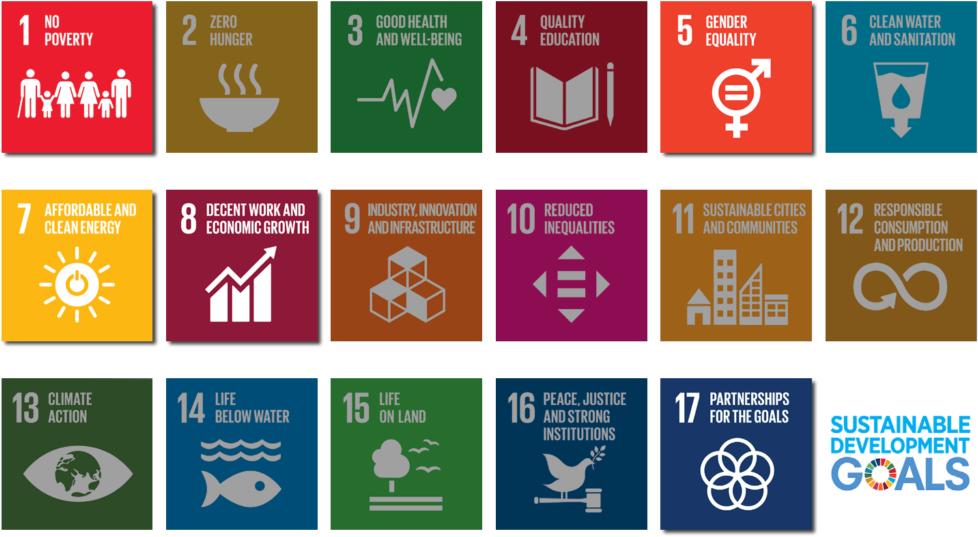 Frontier Markets Integrates Undp's Sdgs Into Its Approach - Unicef Sustainable Development Goals (1024x683), Png Download